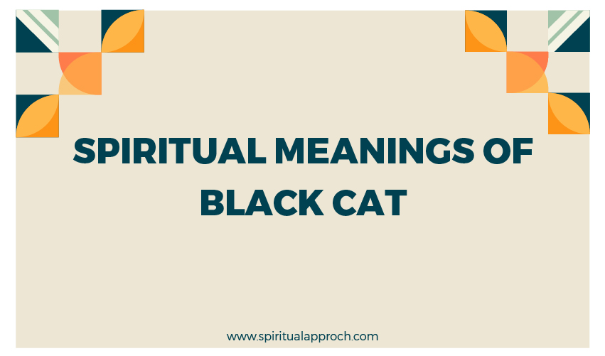 Black Cat Spiritual Meaning