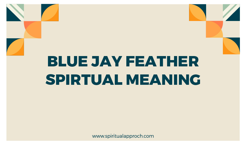 Blue Jay Feather Meaning