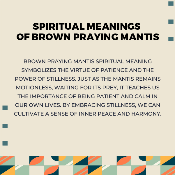 Brown Praying Mantis Spiritual Meanings