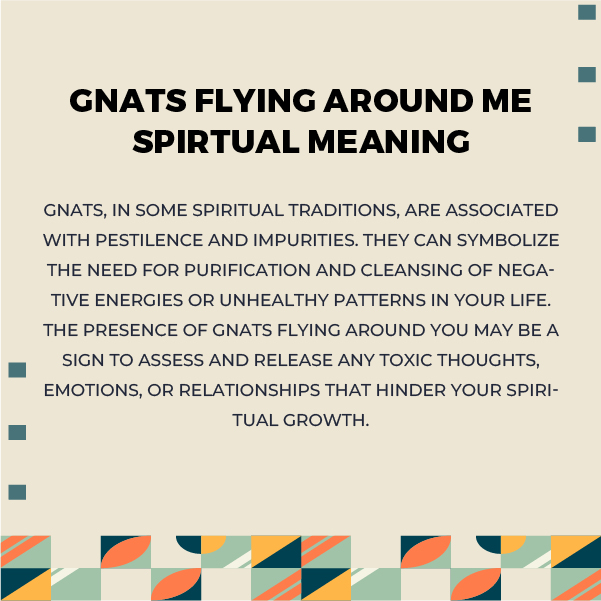 Gnats Flying Around Me Spiritual Meaning