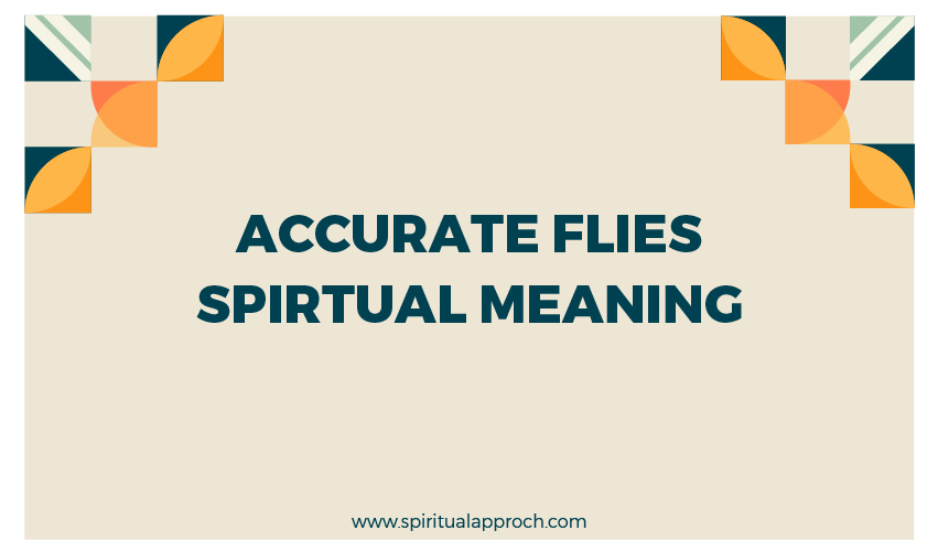 Flies Spiritual Meaning