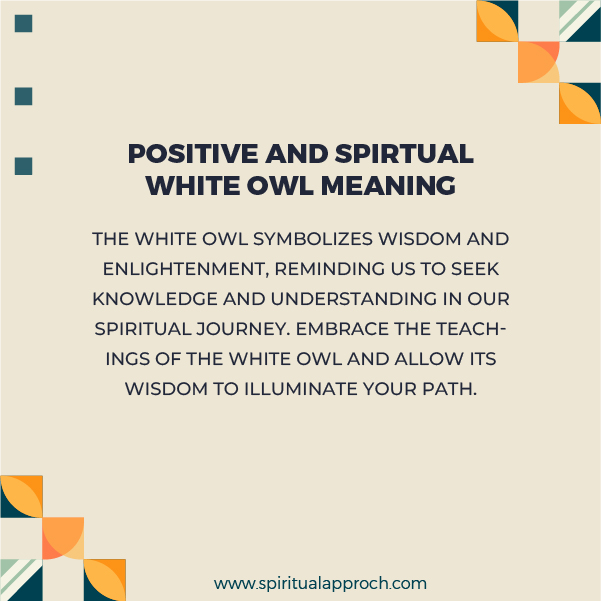 Positive Spiritual White Owl Meanings