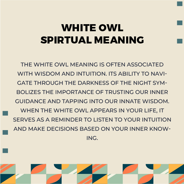 Spiritual White Owl Meanings