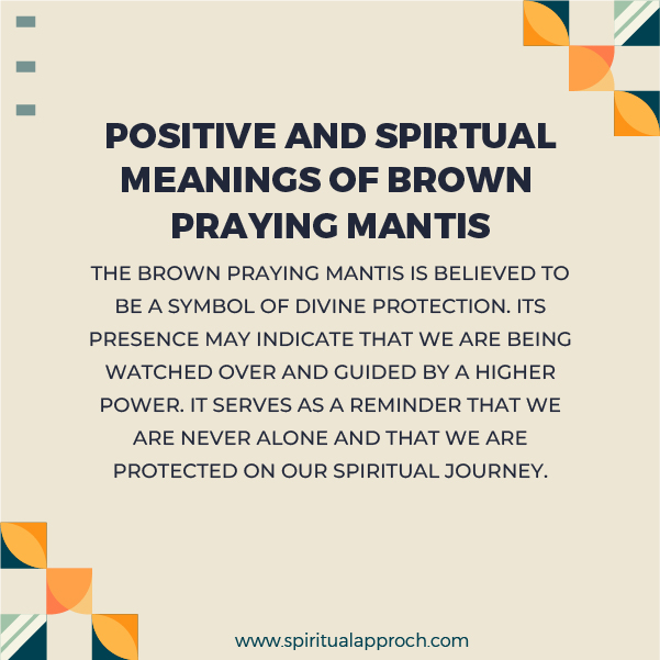 Positive Brown Praying Mantis Spiritual Meanings