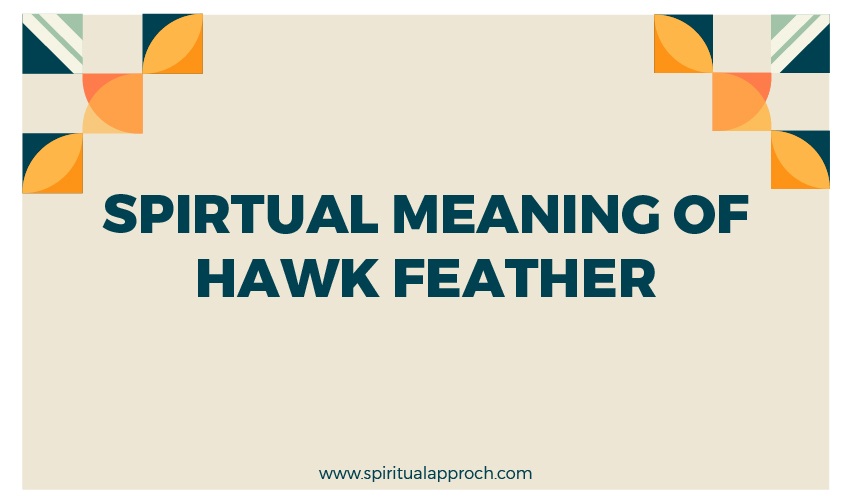 Hawk Feather Meaning