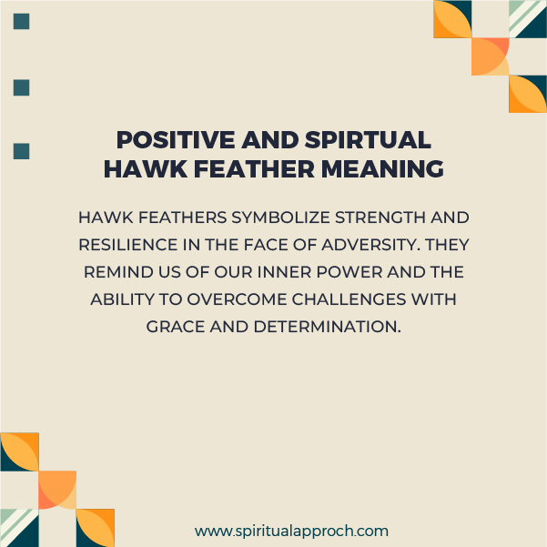 Positive Spiritual Hawk Feather Meanings