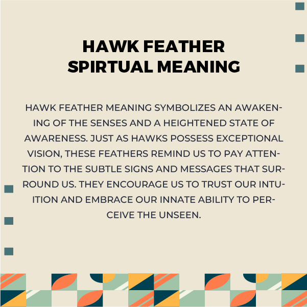 Spiritual Hawk Feather Meanings