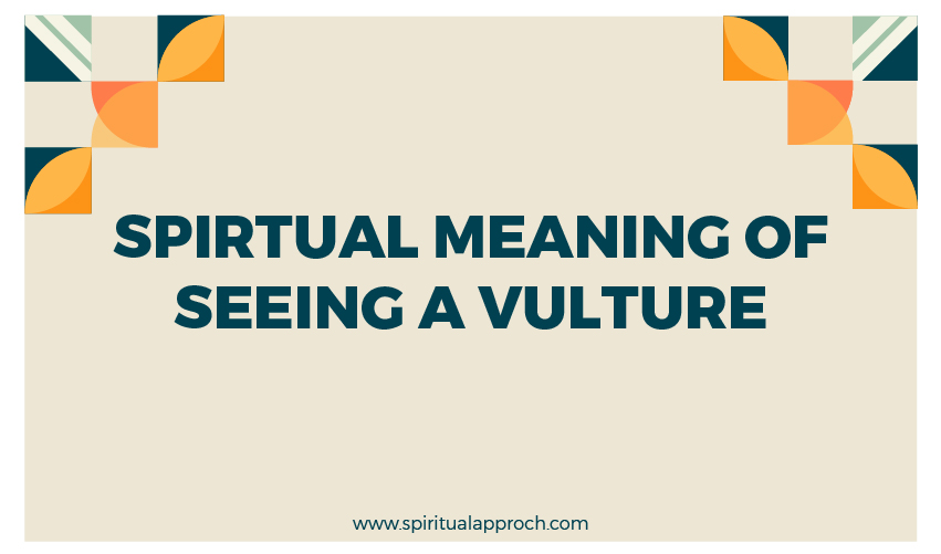 Spiritual Meaning Of Seeing A Vulture