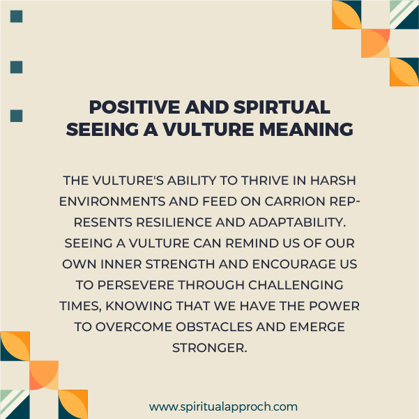 Positive Spiritual Meanings of Seeing a Vulture