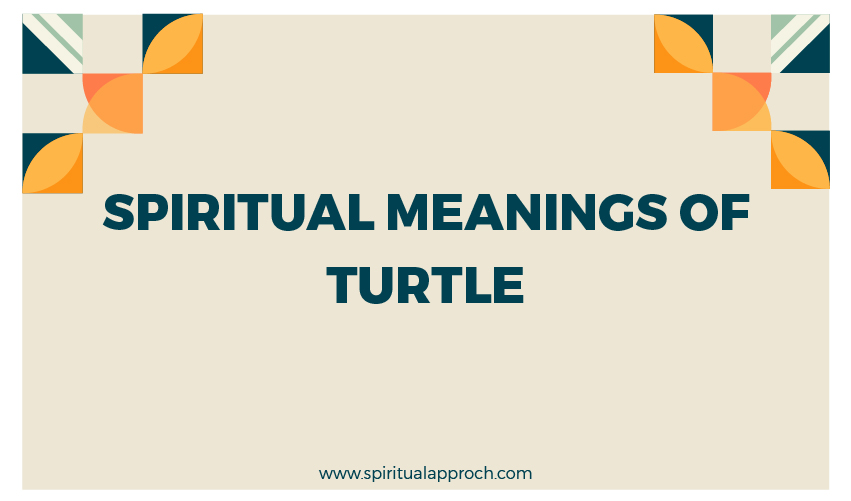 Turtle Spiritual Meaning