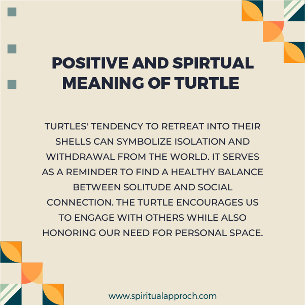 Positive Turtle Spiritual Meanings