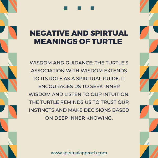 Negative Turtle Spiritual Meanings