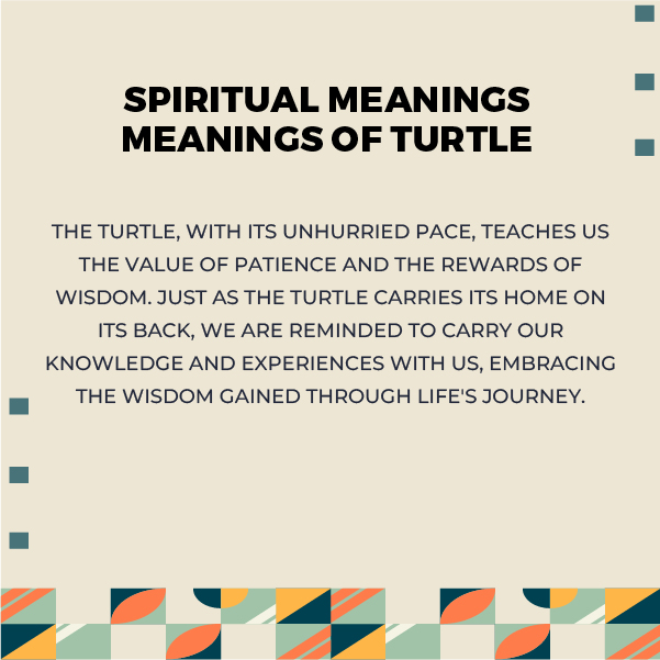 Turtle Spiritual Meanings