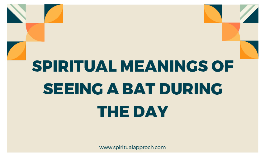 Meaning Of Seeing A Bat During The Day