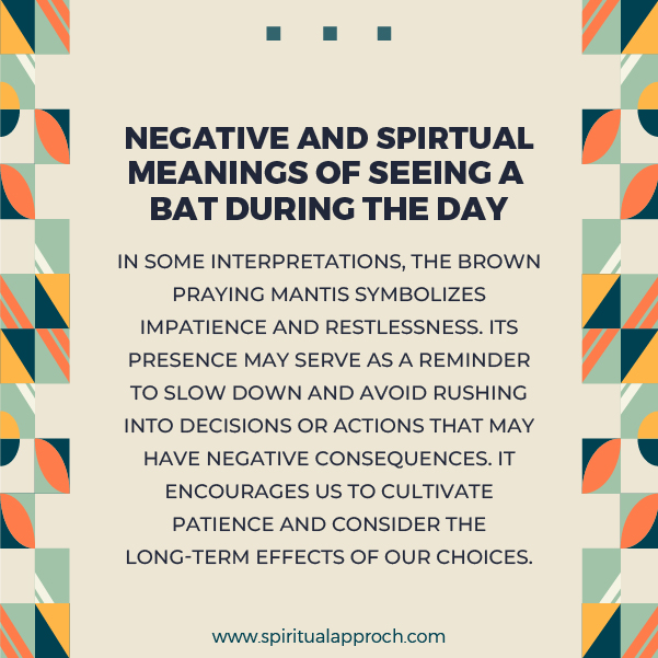 Negative Meanings of Seeing a Bat During the Day