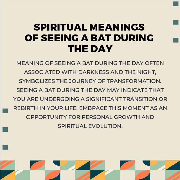 Spiritual Meanings of Seeing a Bat During the Day