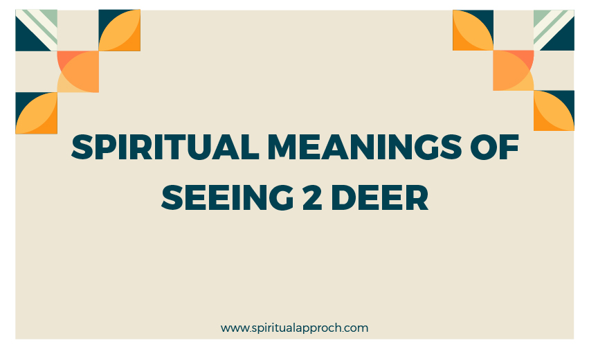 Meaning Of Seeing 2 Deer