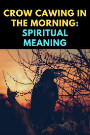 What is the spiritual meaning of a crow cawing in the morning